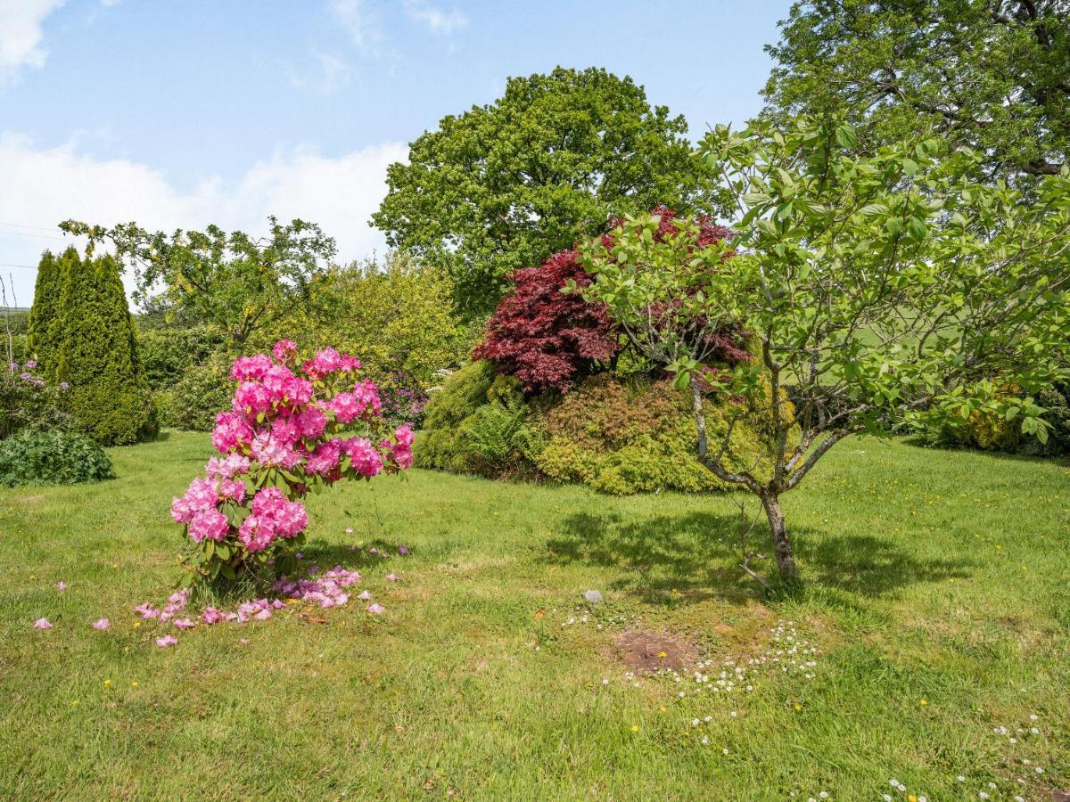 Yr Hen Ffald Llanedy ภายนอก รูปภาพ